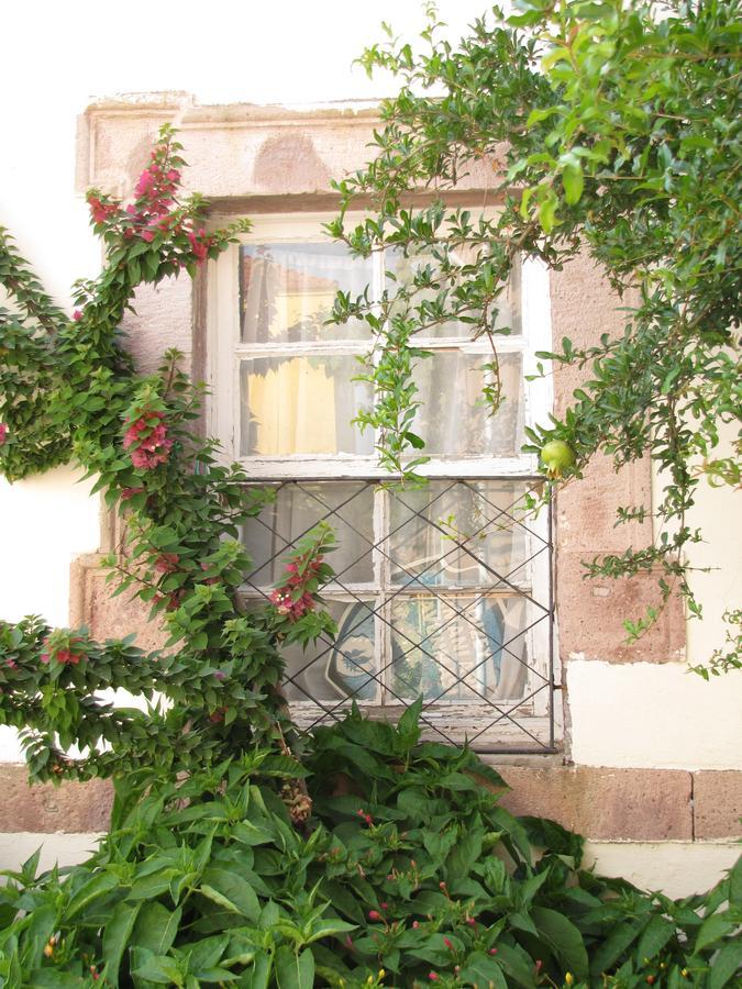 Eolos House Cunda Аявали Екстериор снимка